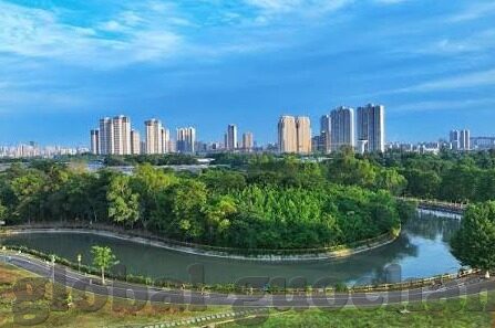 91制片厂果冻传媒全体成员-91制片厂与果冻传媒，共创影视新纪元
