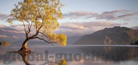 av日韩专区在线-AV日韩专区在线，探索亚洲文化与成人娱乐的独特交融
