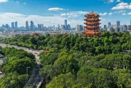 成人h视频在线观看-成人h视频的危害与防范，构建健康的网络环境