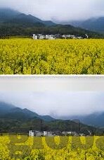 麻豆传媒免费app-麻豆传媒自由APP，传媒行业的误区与用户体验解围之道