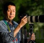 麻豆精东蜜桃果冻传媒-麻豆精东蜜桃果冻的探索之旅，一场美学的味蕾盛宴