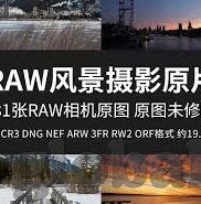 糖心app官网入口ios-探寻数字生活的甜蜜——糖心app的IOS之旅