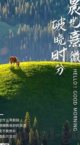 亚洲a∨日韩av高清在线观看-探索亚洲影视文化的多元视角，日韩高清影视的魅力