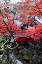 亚洲理论在线a中文字幕-亚洲理论在线，中文字幕下的文化交流与智慧碰撞